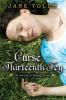 Book cover for "Curse of the Thirteenth Fey".