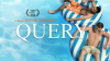 Book cover for "Query".
