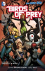 Book cover for "Birds of prey".
