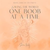 Book cover for "Saving the World One Boob at a Time".